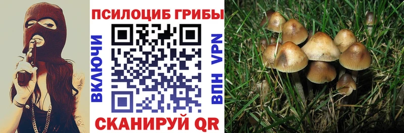 Псилоцибиновые грибы мицелий  Сосенский 